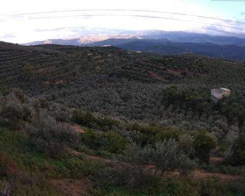 φωτογραφία ακινήτου