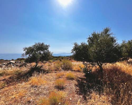 φωτογραφία ακινήτου