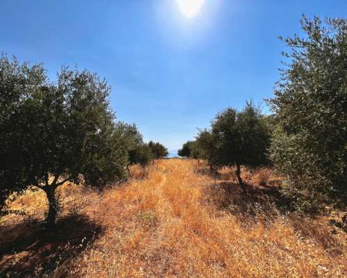 φωτογραφία ακινήτου