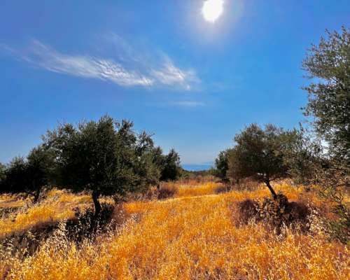 φωτογραφία ακινήτου