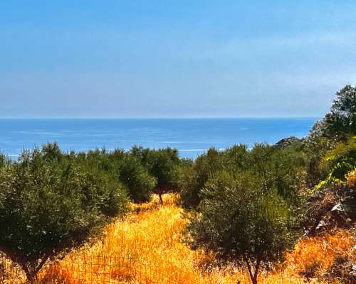 φωτογραφία ακινήτου