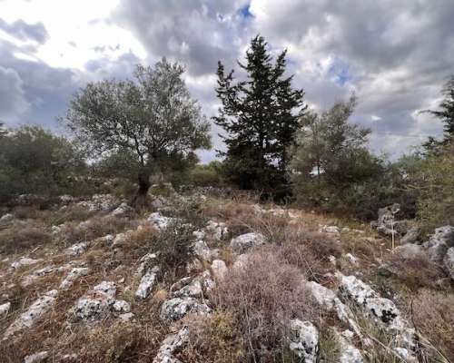 φωτογραφία ακινήτου