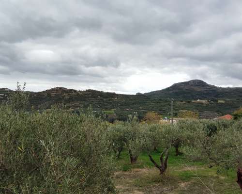 φωτογραφία ακινήτου