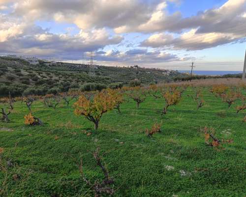 εικόνα ακινήτου