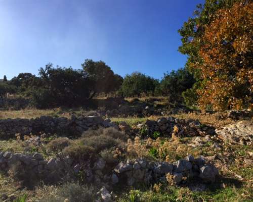 εικόνα ακινήτου