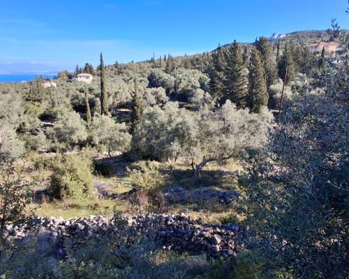 φωτογραφία ακινήτου