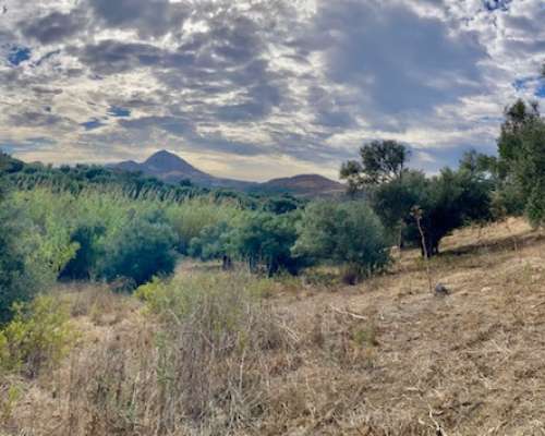 εικόνα ακινήτου