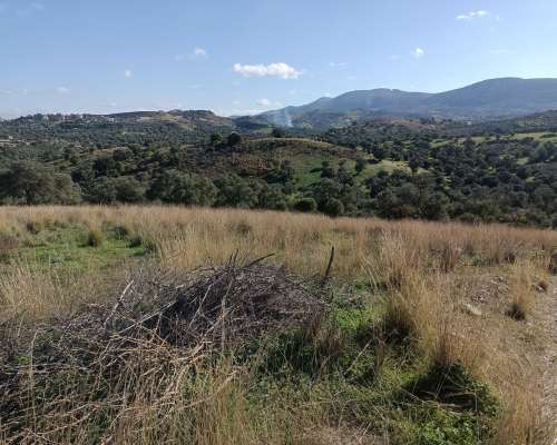 φωτογραφία ακινήτου