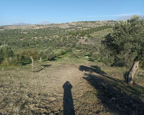 φωτογραφία ακινήτου