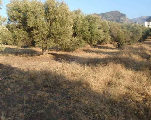 φωτογραφία ακινήτου